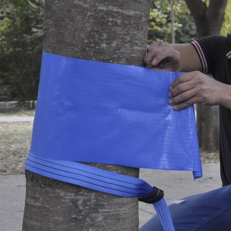 Segunda imagem para pesquisa de slackline