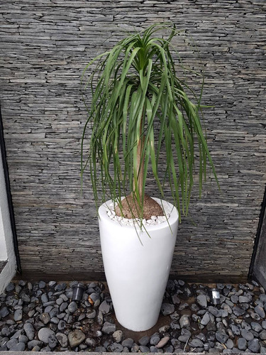 Maceta Decorativa Timbal Grande De Fibra De Vidrio Madera
