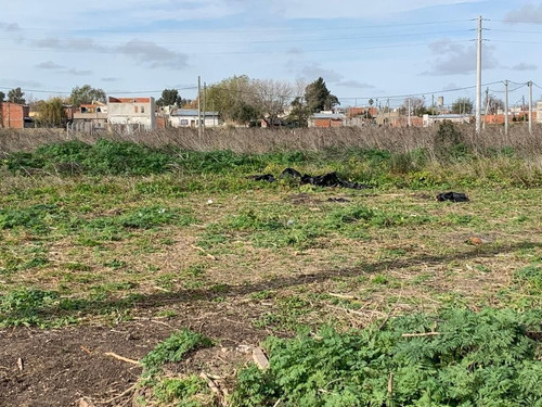 Imagen 4 de 7 de Terreno En Venta De 300m2 Ubicado En La Plata