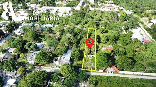Imagen 9 de 10 de Terreno En Venta En Conkal,yucatán. Ctv268