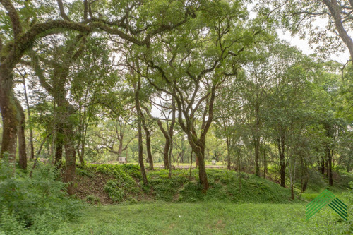 Imagen 3 de 25 de Vendo Terreno En El Retiro - San Lorenzo