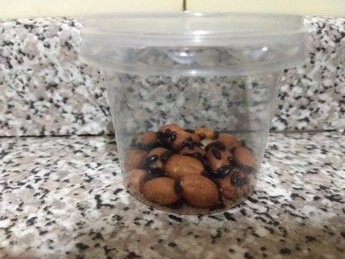 Imagem 1 de 1 de Besouro Amendoim Alimento Peixe Betta Ração Start Inicial