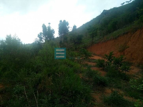 Imagem 7 de 9 de Edinaldo Santos - Ótimo Terreno No Santo Agostinho Com 5.000m² - 7237