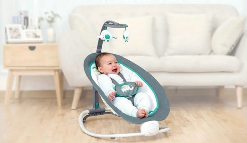 Silla Mecedora Prinsel Bouncer Para Bebé Gris Gris Con Verde Y Blanco (Usado)