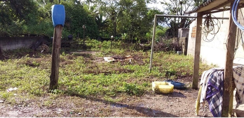 Imagem 2 de 5 de Terreno Terreno Rural Caraguatatuba - Sp - Pegorelli - Zch20