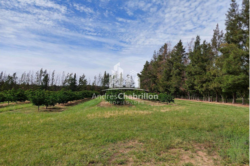 Imagen 6 de 15 de Campo En Venta De 20 Has. En Ruta Nacional 14