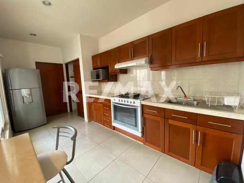 Imagen 5 de 30 de Casa En Renta - (2)