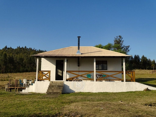 Imagen 3 de 30 de Las Anacahuitas En Lavalleja
