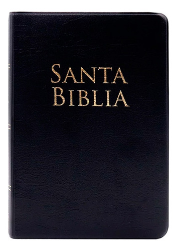 Biblia Rv1960 Letra Grande Con Referencias Editorial B&H