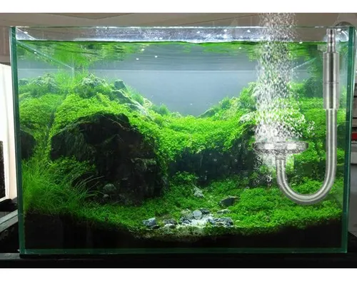 Kit De Sistema Generador De Co2 Para Acuarios Dobles De 5 Li