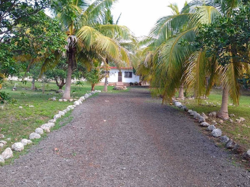 Venta Amplio Terreno De 6000 M2 Tahdzibichen, Merida, Yucatan.