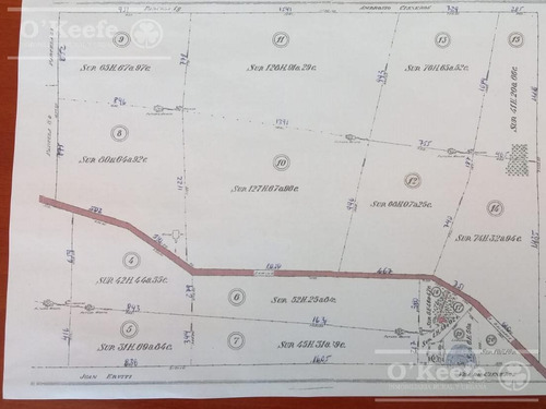 870 Has En Ayacucho - Campo Ganadero Para 800 Madres O Recría - Excelente Ubicación - Retasado !!!
