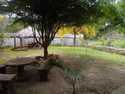 Imagen 12 de 23 de Cf. Se Vende Finca En La Fría, Cerca De La Termoeléctrica
