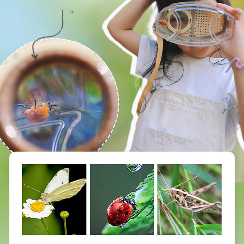Kit De Atrapa Insectos Con Caja De Observación De Lupa