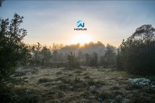 Imagen 4 de 24 de Sitio En Venta En Calbuco