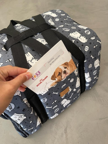 Imagen 3 de 10 de Bolso Transportador Perro/gato Para Aerolínea Lan Y Jet