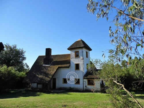 Kaaguy Porá En Villa Serrana