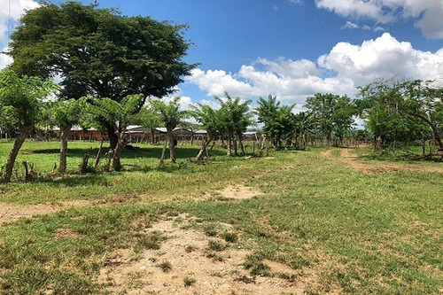 Imagen 22 de 25 de Asein882 Vende Excelente Finca En Tinaquillo Sector Caño De Agua