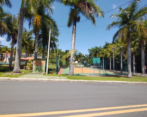 Imagem 10 de 12 de Terreno - Te04120 - 69378973