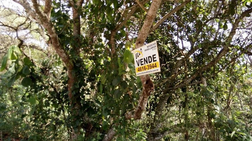 Imagem 15 de 20 de Terreno À Venda, 1000 M² Colinas, Px Ct São Paulo - Te0574