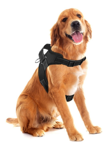 Pechera Arnés Nylon P/ Perro Mascota Deportiva O Paseo