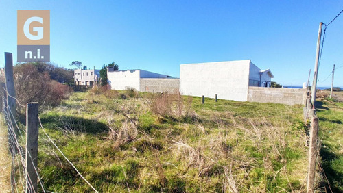 Imagen 3 de 6 de Terreno En Punta Del Este (balneario Buenos Aires) Ref-3987