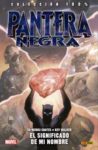 Libro Pantera Negra. El Significado De Mi Nombre