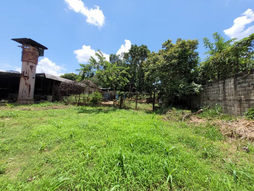 R.p Galpon Y Terreno  Comercial E Industrial A  -  Campo Carabobo, A  500 Metros Antes De Tienda  Valcro