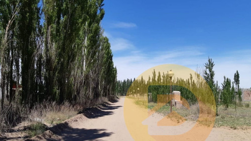 Imagen 6 de 11 de Terrernos En Venta En Los Cerezos Ii De Plottier