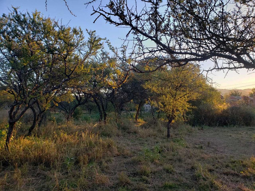 Imagen 6 de 7 de Terreno Venta Mendiolza Golf