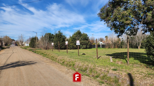 Imagen 4 de 6 de Lote En Venta General Belgrano - (10 X 40) C/ Escritura