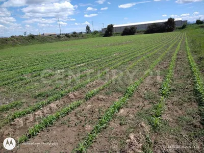 Terreno en venta