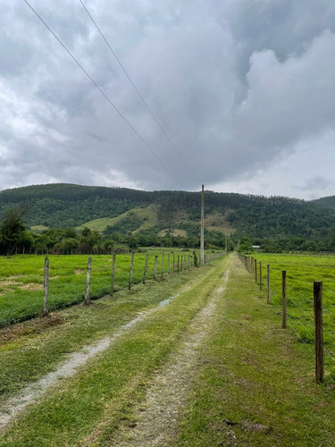 Imagem 2 de 14 de S12- Terrenos Excelentes Para Chácaras,1000m Plaino