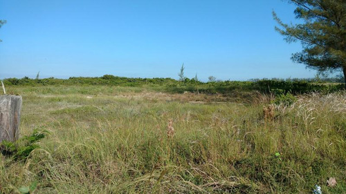 Venta Lotes 400 M² Playa Sur Tamiahua Veracruz