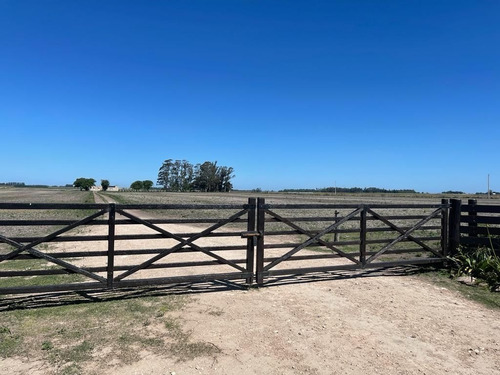 Imagen 1 de 16 de Campo En Venta De 294000m2 Ubicado En Balcarce