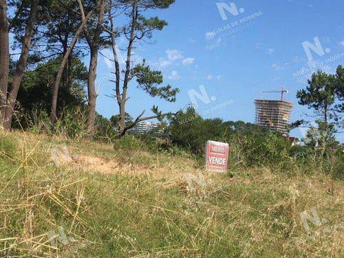 Imagen 5 de 5 de Terreno En Playa Brava - Punta Del Este El Placer