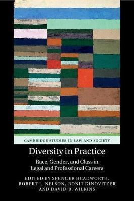 Cambridge Studies In Law And Society: Diversity In Practi...