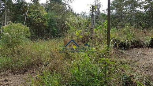 Imagem 1 de 15 de Área De 13 Mil M2 Corredor Industrial Em Embu - 256