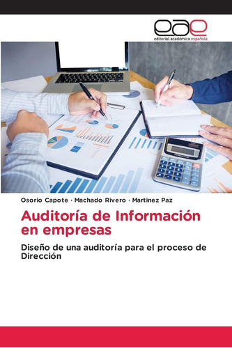 Libro: Auditoría De Información En Empresas: Diseño De Una