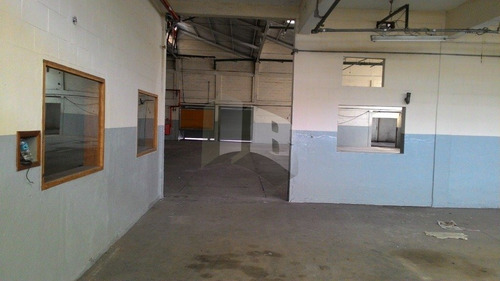 Imagem 3 de 15 de Galpao - Jardim Pereira Leite - Ref: 6598 - L-6598