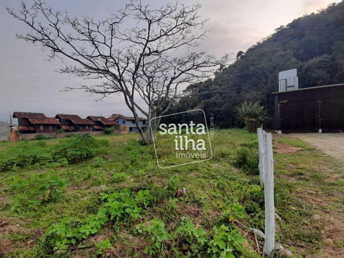 Imagem 6 de 9 de Terreno Com Excelente Localização Na Armação - Te1014