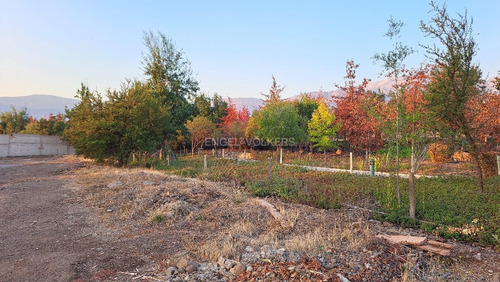 Los Rios, Excelente Sitio En Venta. No Perimetral