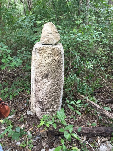 Imagen 5 de 13 de Terreno Con Cenote Al Descubierto A 25 Minutos De Valladolid