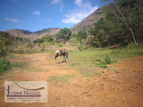 Imagem 14 de 15 de Sítio Em Vale Das Videiras - Paty Do Alferes - 3121