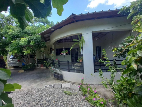 Casa Ala Venta En Bani Tenemos Sembrado De Aguacates Y Mango