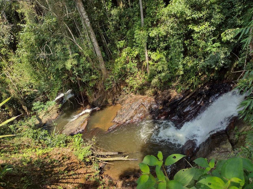 Imagem 3 de 12 de Terreno Em Miracatu-sp Medindo 8 Alqueires Com Cachoeira