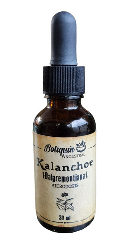 Microdosis Kalanchoe Daigremontiana Orgánica 30ml