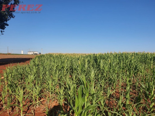 Imagem 13 de 24 de Chácaras_sítios_fazendas Para Venda - 13650.8047