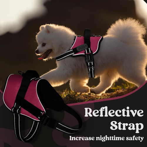 Arnés Para Perro Rabbitgoo Grande, Ajustable, No Tira, Xl