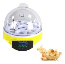 Comprar Para Chocadeira Brood Chocadeira Elétrica Chocadeira 7 Ovos